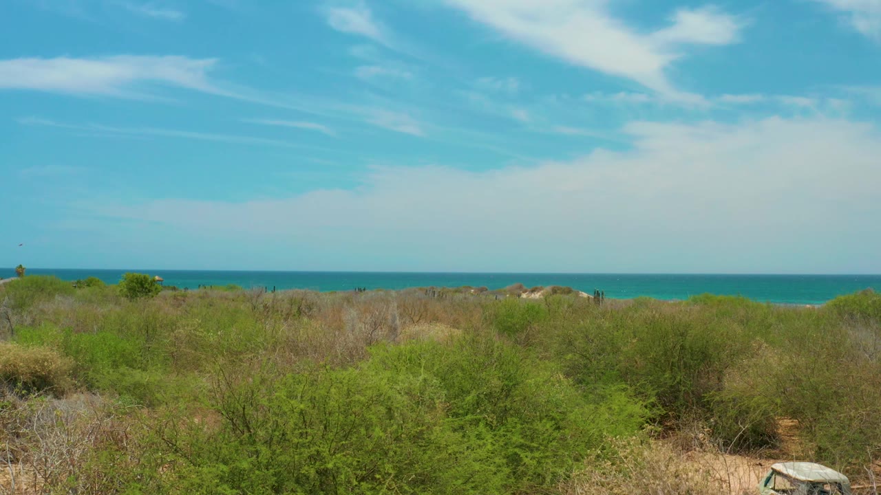 Coastal scrub, dunes, turquoise ocean, and blue sky.
