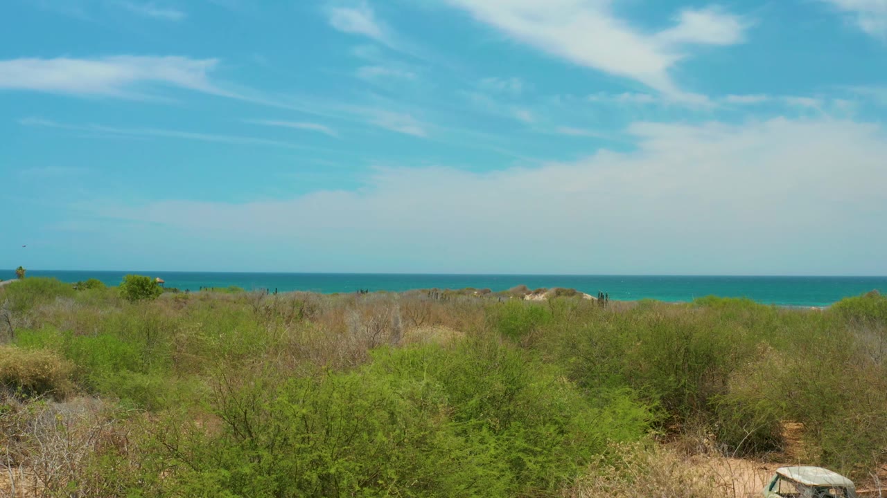 Cabo Pulmo shoreline vegetation fills the lower frame, with scrub-covered dunes, a narrow band of turquoise water, a level horizon, streaked white clouds, and no visible people.