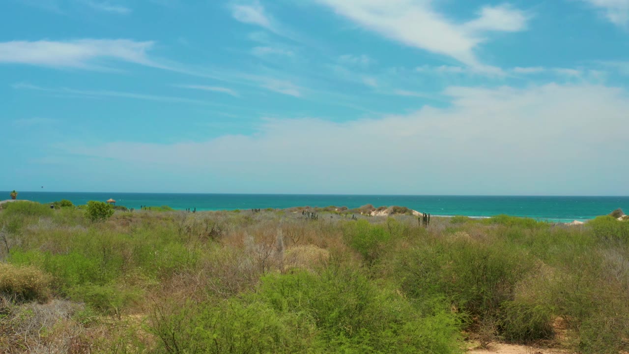 A wide Cabo Pulmo landscape shows green and brown brush across the foreground, low dunes beyond, turquoise sea in the distance, broad blue sky, soft cloud bands, and no visible people.
