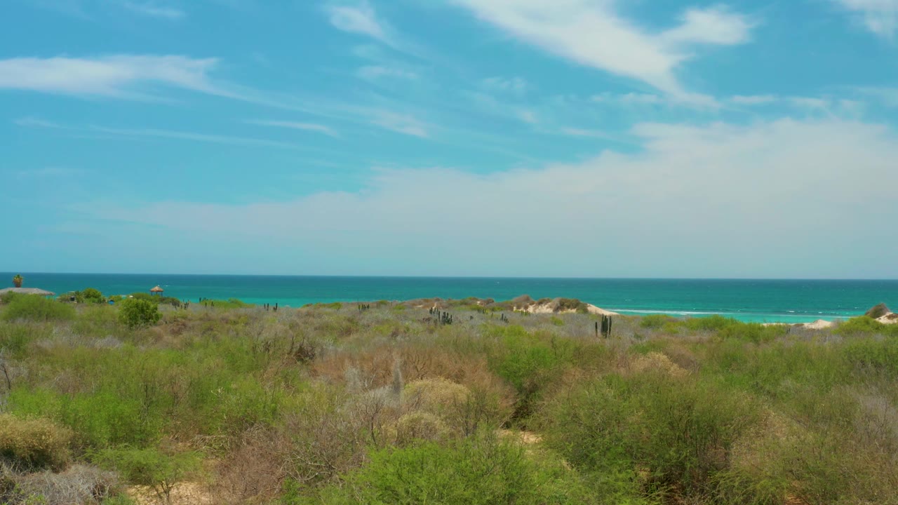 Mid-clip view of Cabo Pulmo dunes and scrubland with a brighter strip of sandy beach appearing behind the vegetation, turquoise water beyond, scattered clouds overhead, and no visible people.