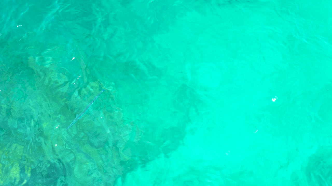 Clear turquoise water at El Tule Beach in Los Cabos shows dark submerged rocks, faint small fish, surface ripples, and no visible people.