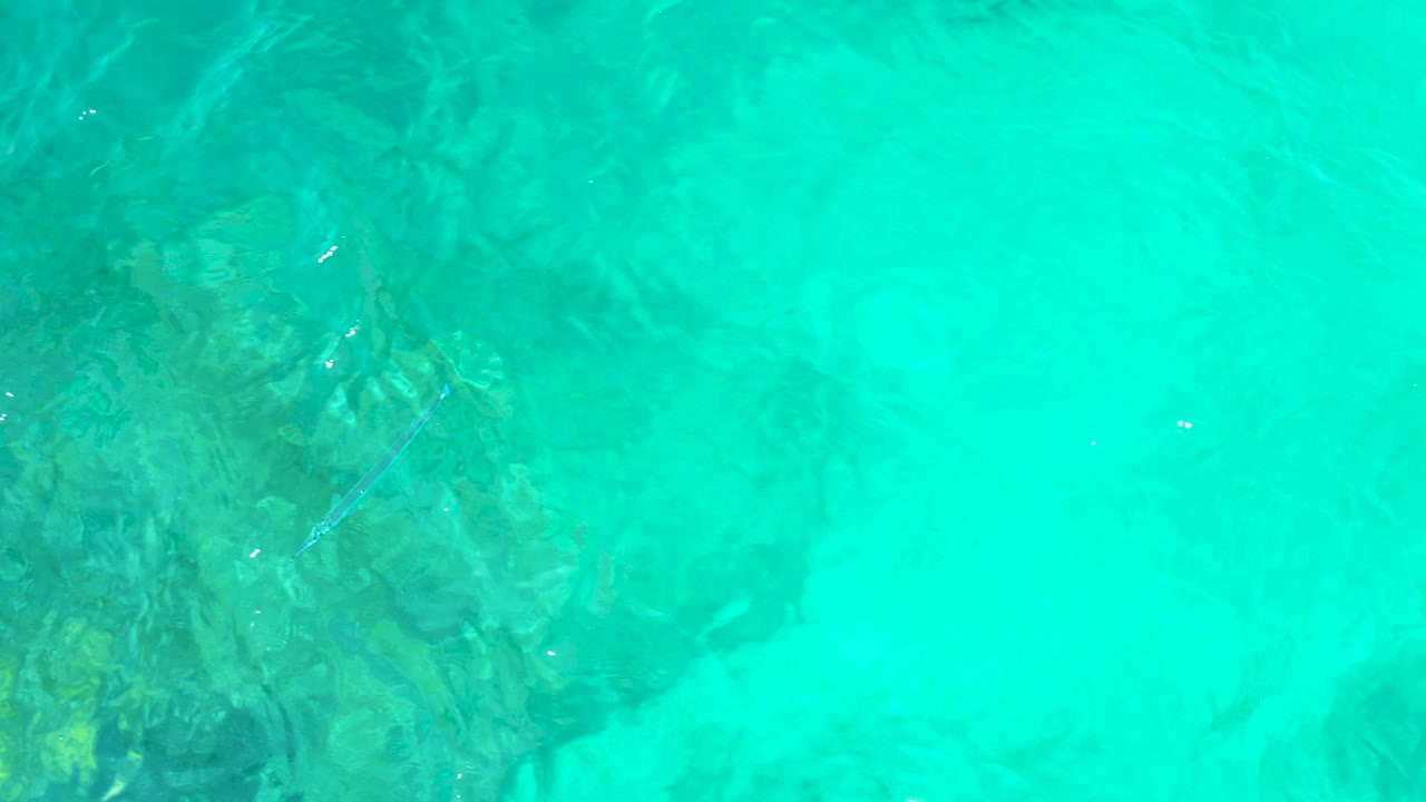 Rippling turquoise water with rocks visible below the surface.