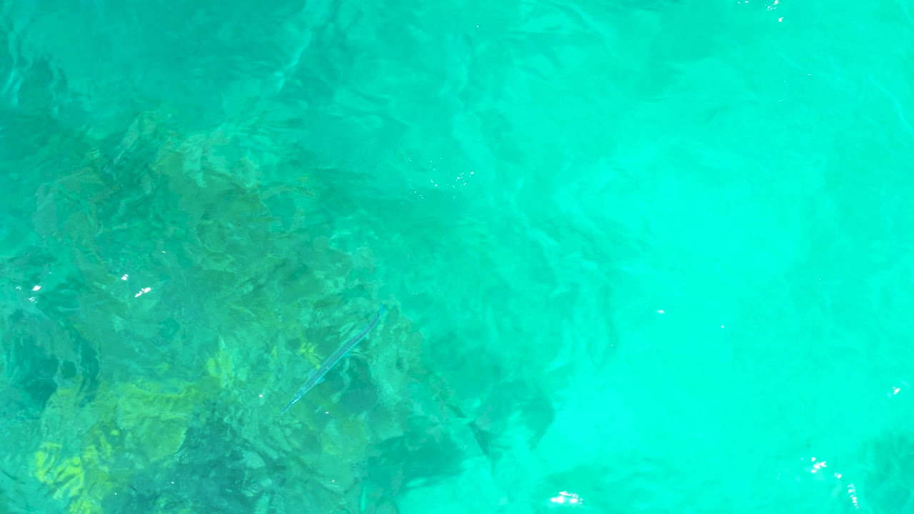 Clear water at El Tule Beach shows darker reef-like rock forms under a bright turquoise surface, with small fish and no visible people.