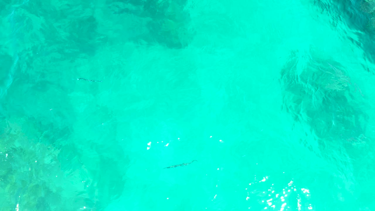 Top-down view of turquoise water at El Tule Beach Los Cabos with dark submerged rocks, small fish near the left side, bright surface reflections, and no visible people.