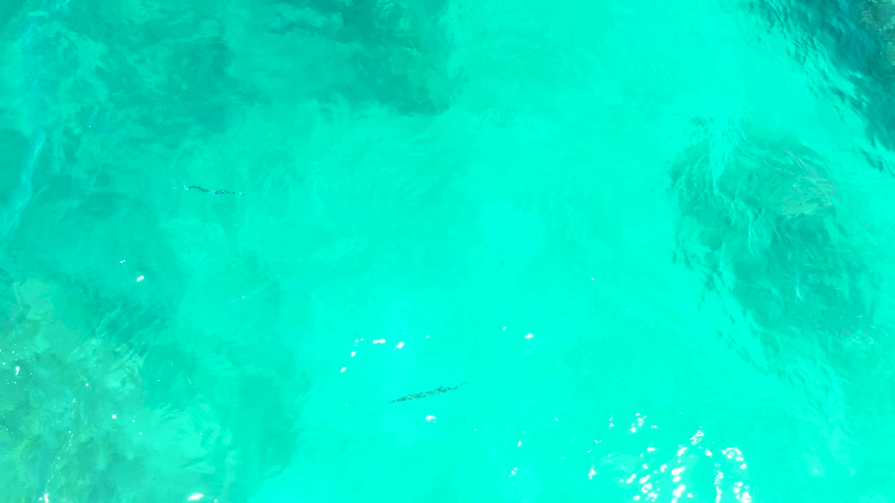 Aerial frame from El Tule Beach Los Cabos showing clear turquoise water, shadowy underwater rocks, a small fish lower left of center, soft ripples, and no visible people.
