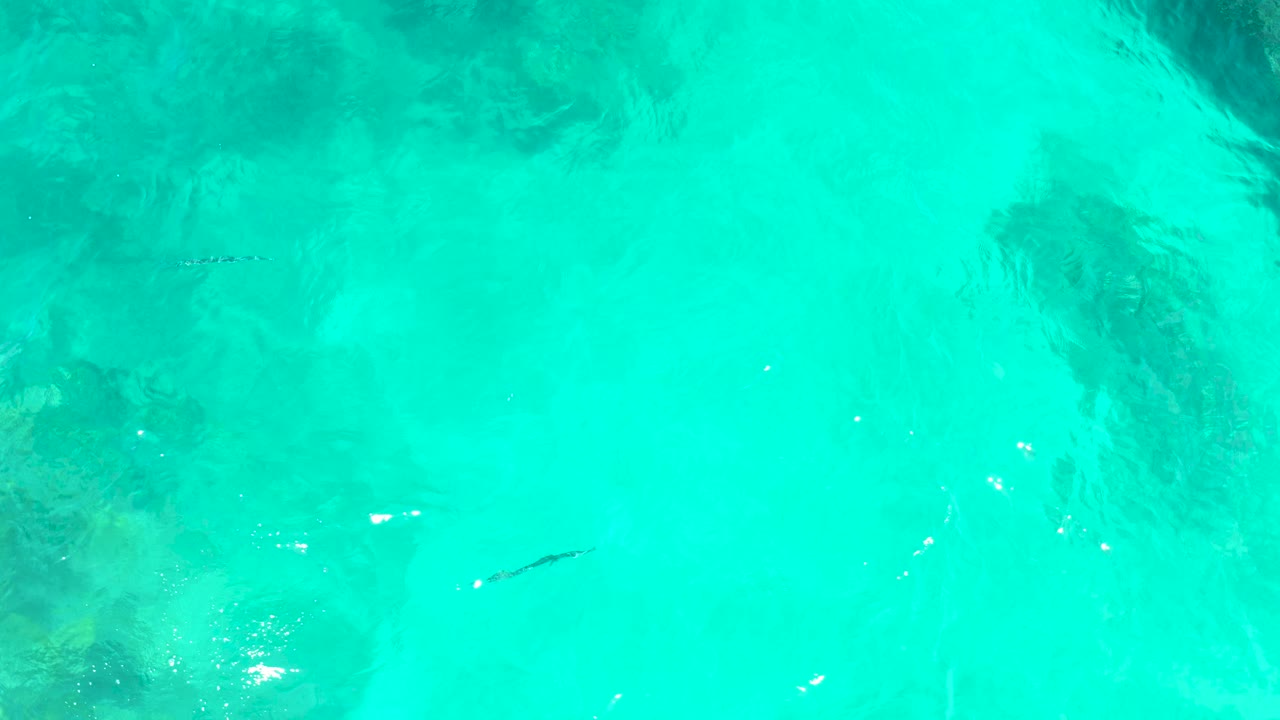 Turquoise water with small fish and blurred submerged rocks.