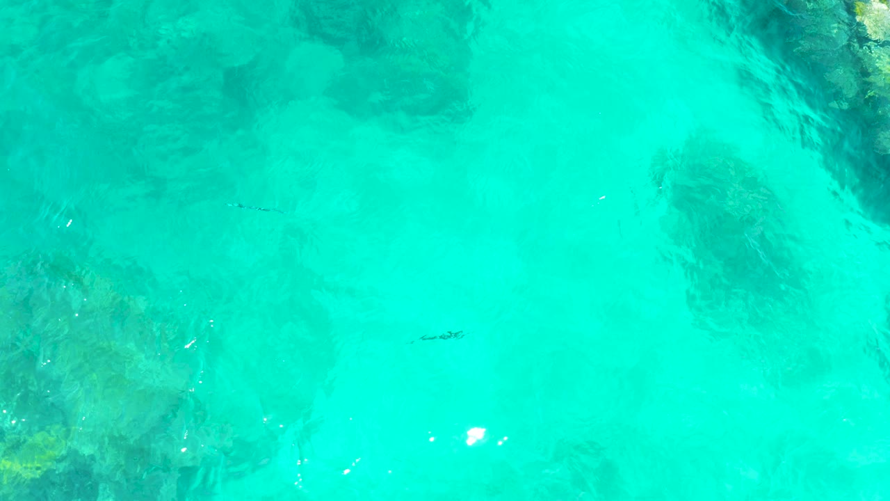 Overhead view of clear turquoise water at El Tule Beach in Los Cabos, with dark submerged rock or coral areas, a small fish near center, sun glints, and no visible people.