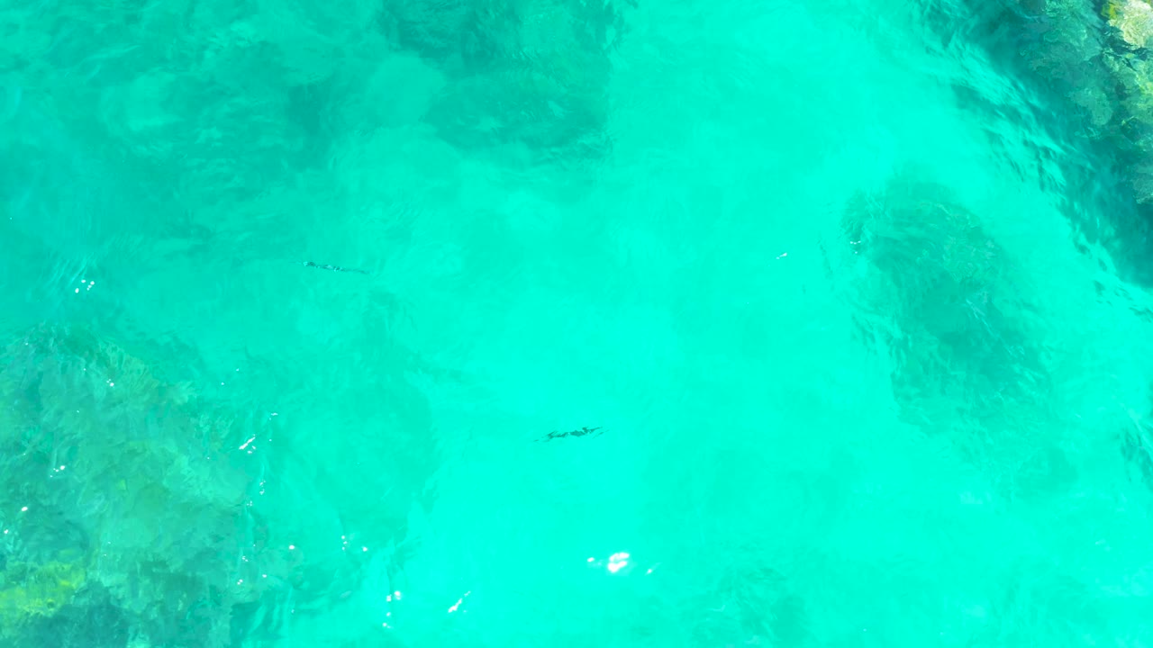Aerial frame over El Tule Beach water, showing a small dark fish crossing clear turquoise shallows above soft-edged submerged rock or coral patches and no visible people.