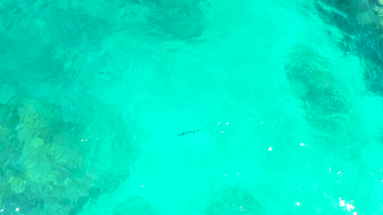 Overhead El Tule Beach view with turquoise water filling the frame, a small fish near the middle distance, dark underwater rock or coral forms, and no visible people.