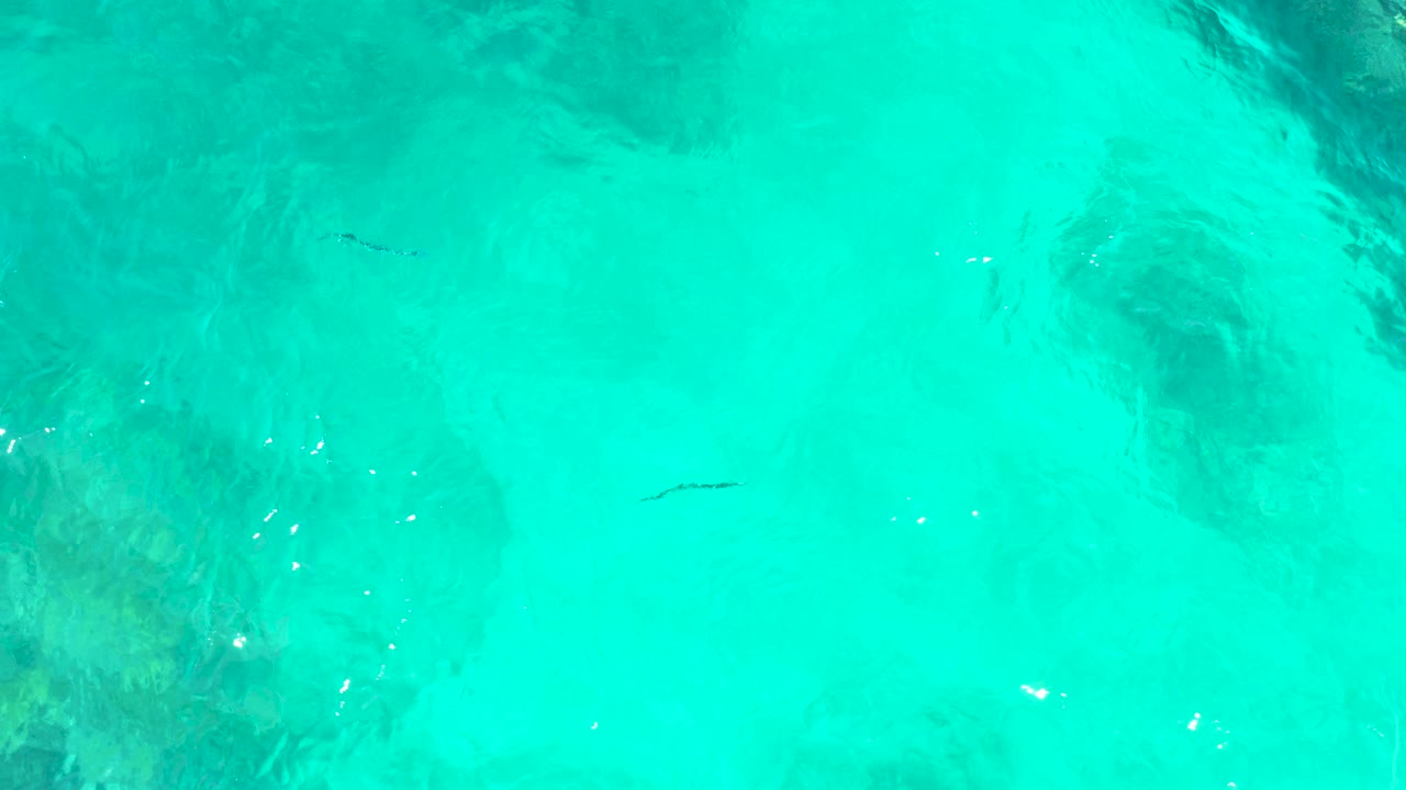 Aerial view of bright turquoise shallows at El Tule Beach, with a small fish over the seabed, darker submerged formations at the edges, and no visible people.