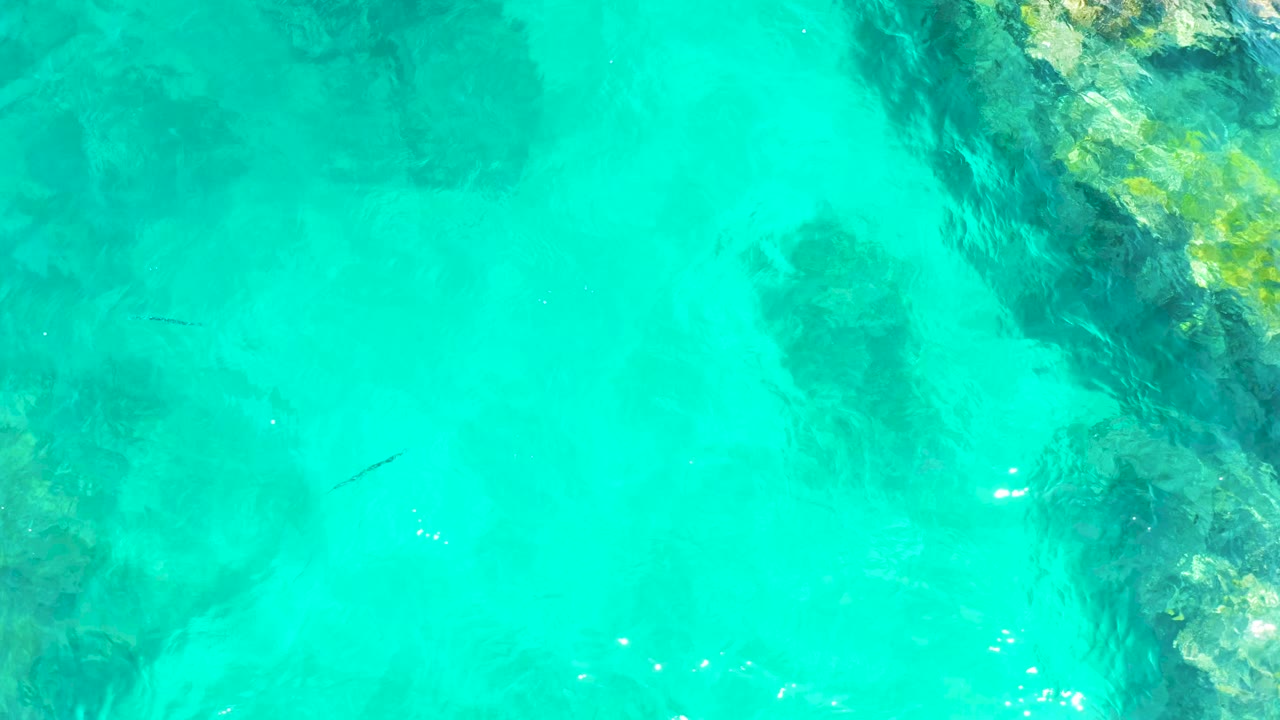 Turquoise shallow water over dark underwater rocks and small fish.
