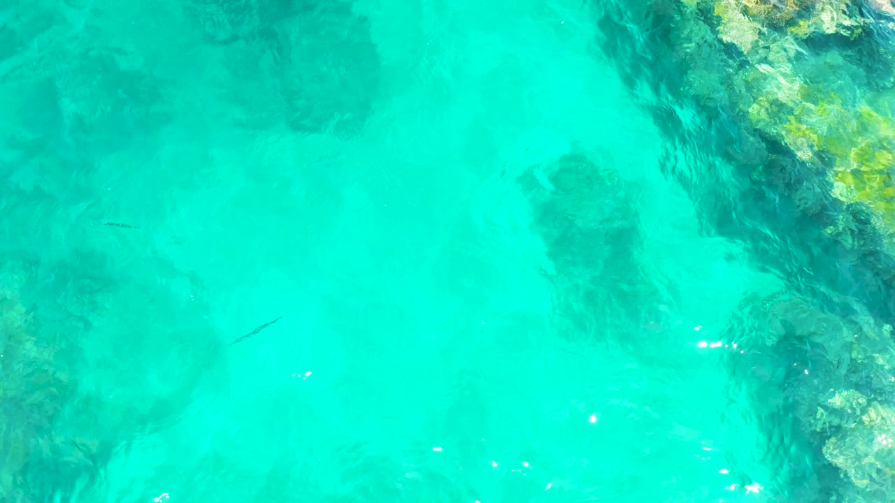 Overhead frame from El Tule Beach showing clear turquoise water, rocky seabed detail along the upper right, a small fish crossing open water, and no visible people.