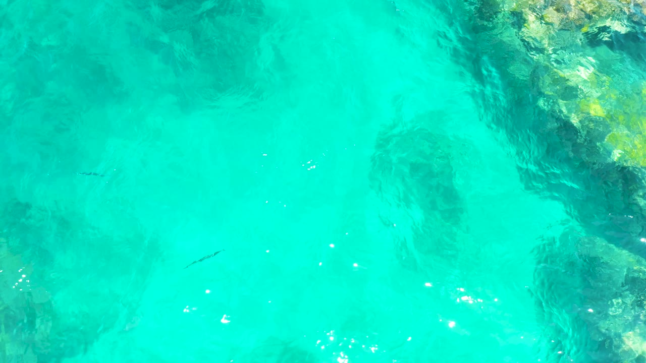 Overhead frame of El Tule Beach water with dark rocks beneath the surface, a small fish near the lower left area, scattered bright sun glints, and no visible people.
