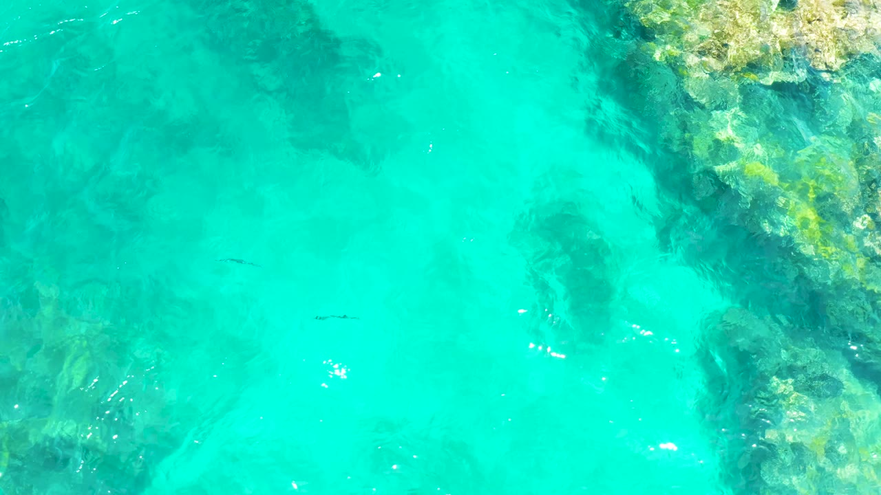 At 0:01, the overhead view of El Tule Beach in Los Cabos shows tiny dark fish under bright turquoise water, with submerged rock shadows and no visible people.