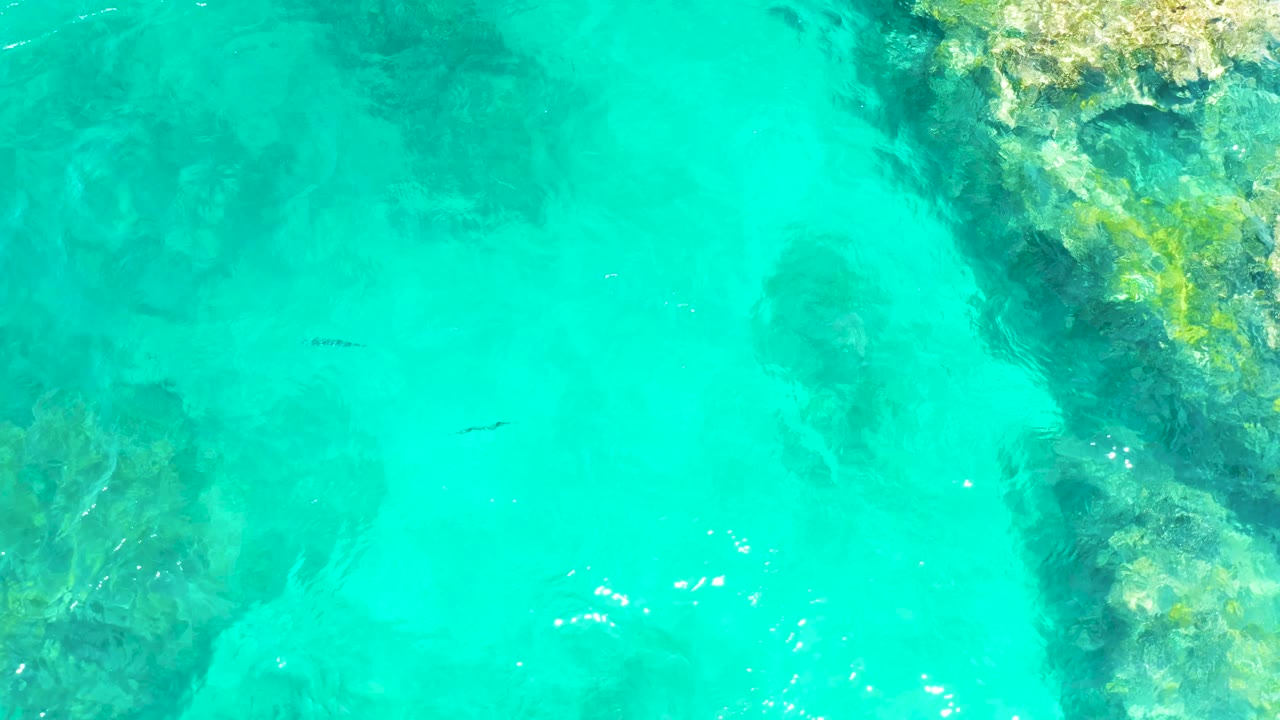 At 0:02, clear turquoise water at El Tule Beach in Los Cabos reveals small dark fish and a rocky seabed area entering from the upper right, with no visible people.