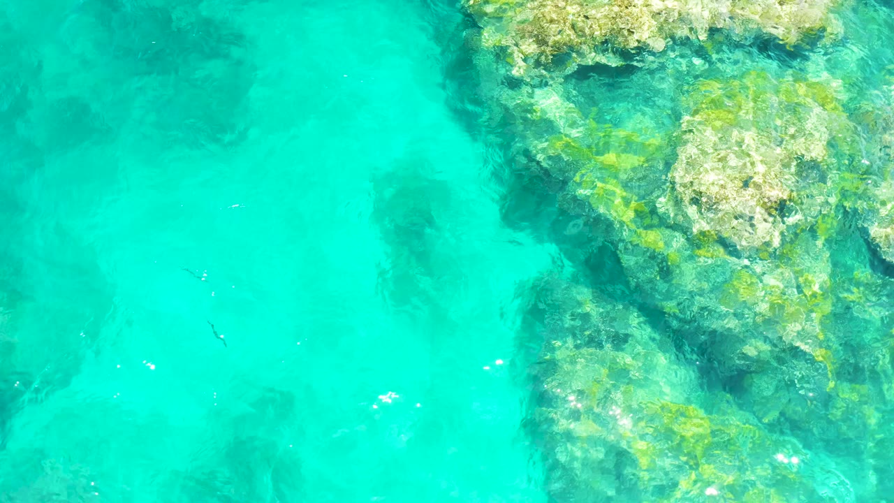 Overhead turquoise water with rocky coral and small fish