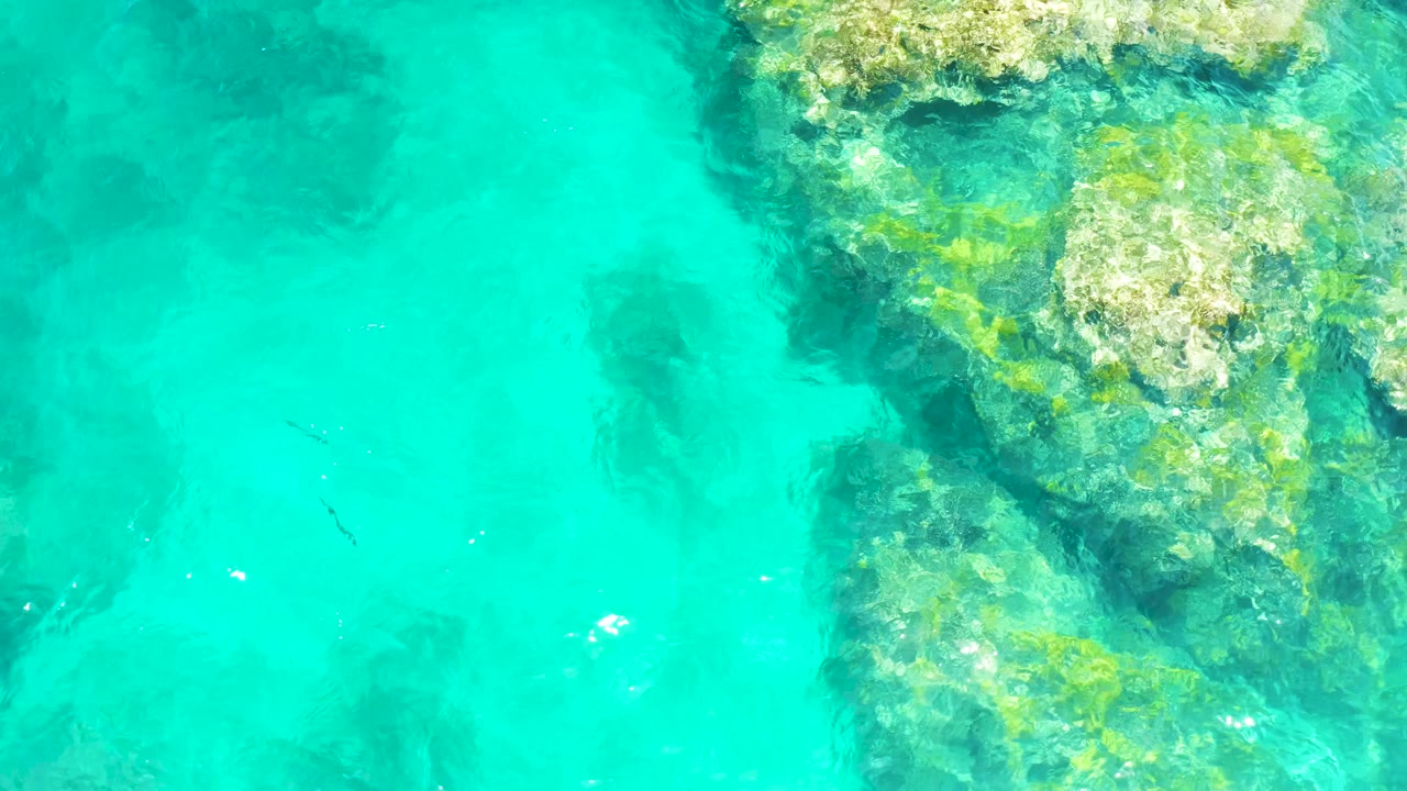 Clear shallow water at El Tule Beach Los Cabos shows submerged rocky coral near the upper right, a small fish crossing open water, and no visible people.