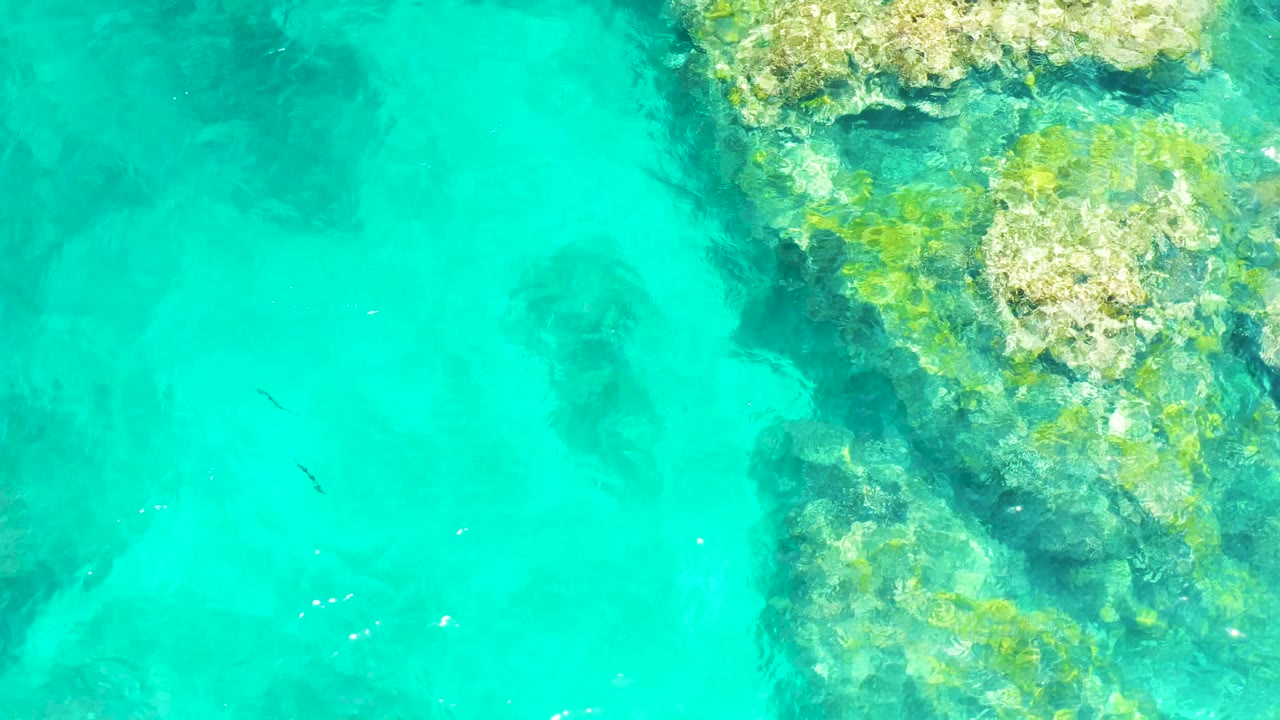 Turquoise ocean water at El Tule Beach Los Cabos sits beside bright rocky coral on the right, with tiny fish shapes and no visible people.