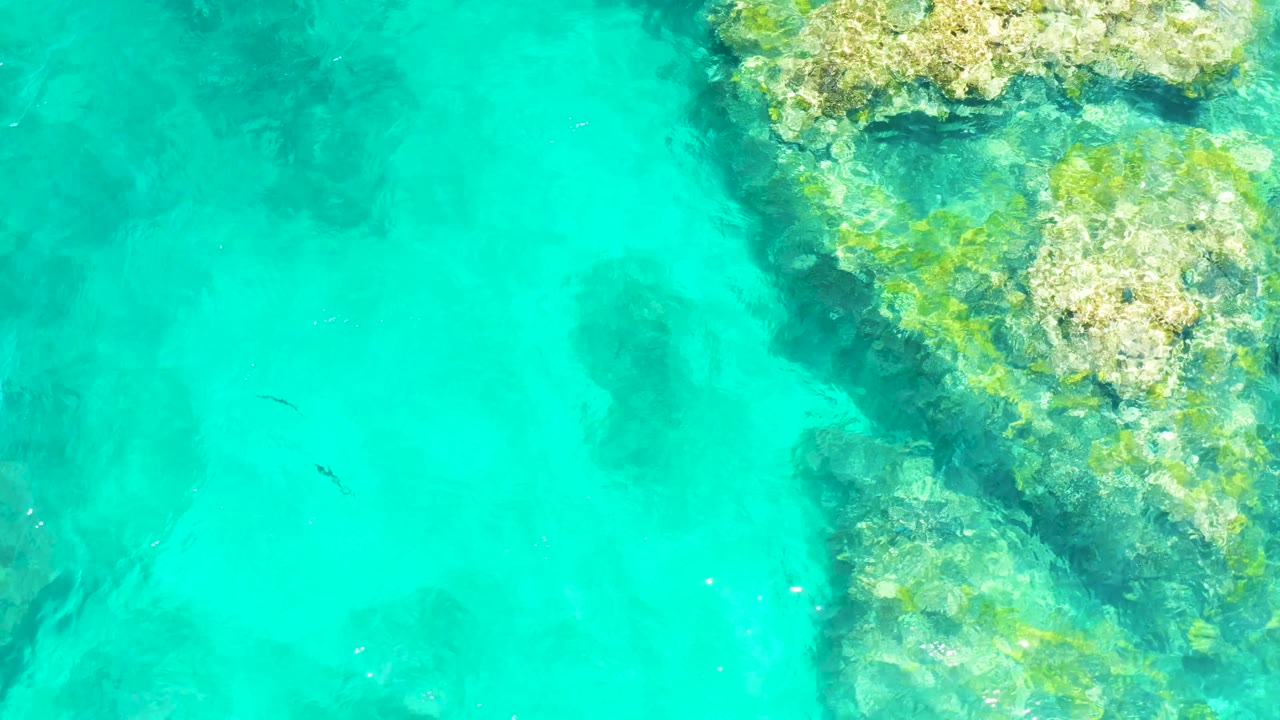 The rocky coral edge appears larger on the right side of El Tule Beach Los Cabos water, with open turquoise shallows, faint fish shapes, and no visible people.
