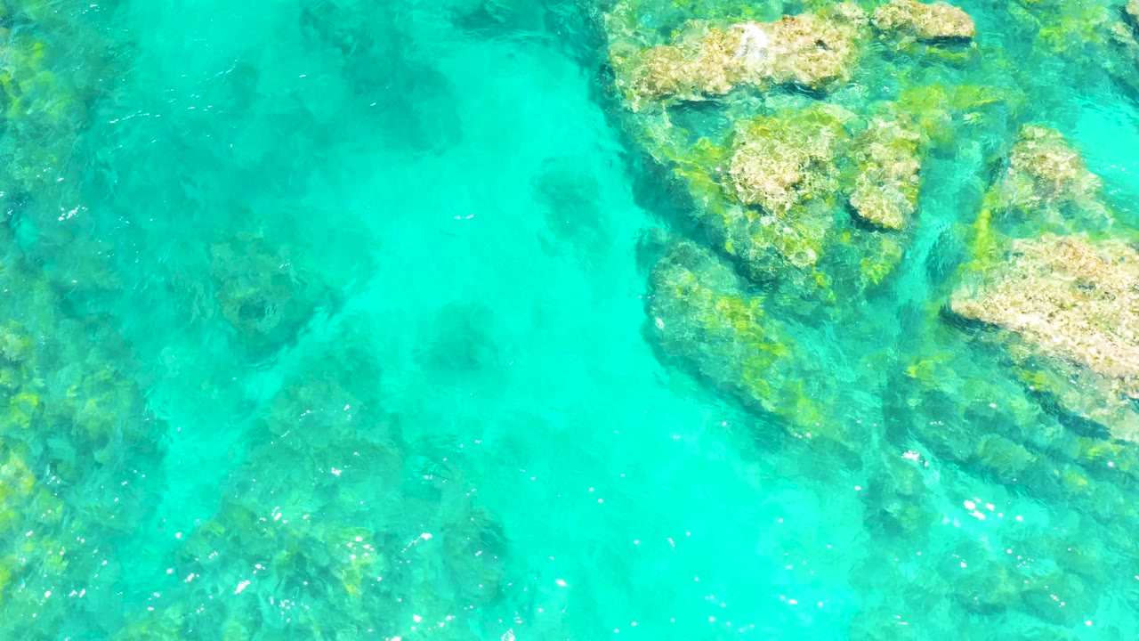 Rocky seabed seen through clear turquoise water.