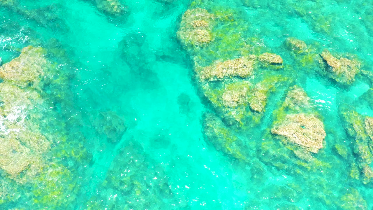 Overhead view of turquoise water over submerged tan rocks and green algae at El Tule Beach, Los Cabos, with no visible people.