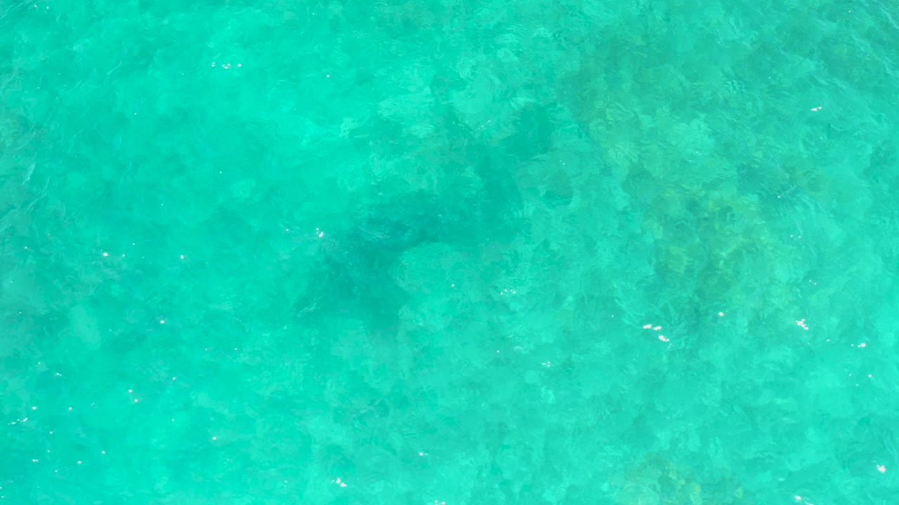 Overhead view of clear turquoise water at El Tule Beach Los Cabos with mottled bottom texture, small sun reflections, a faint dark marine animal shape under the surface, and no visible people.