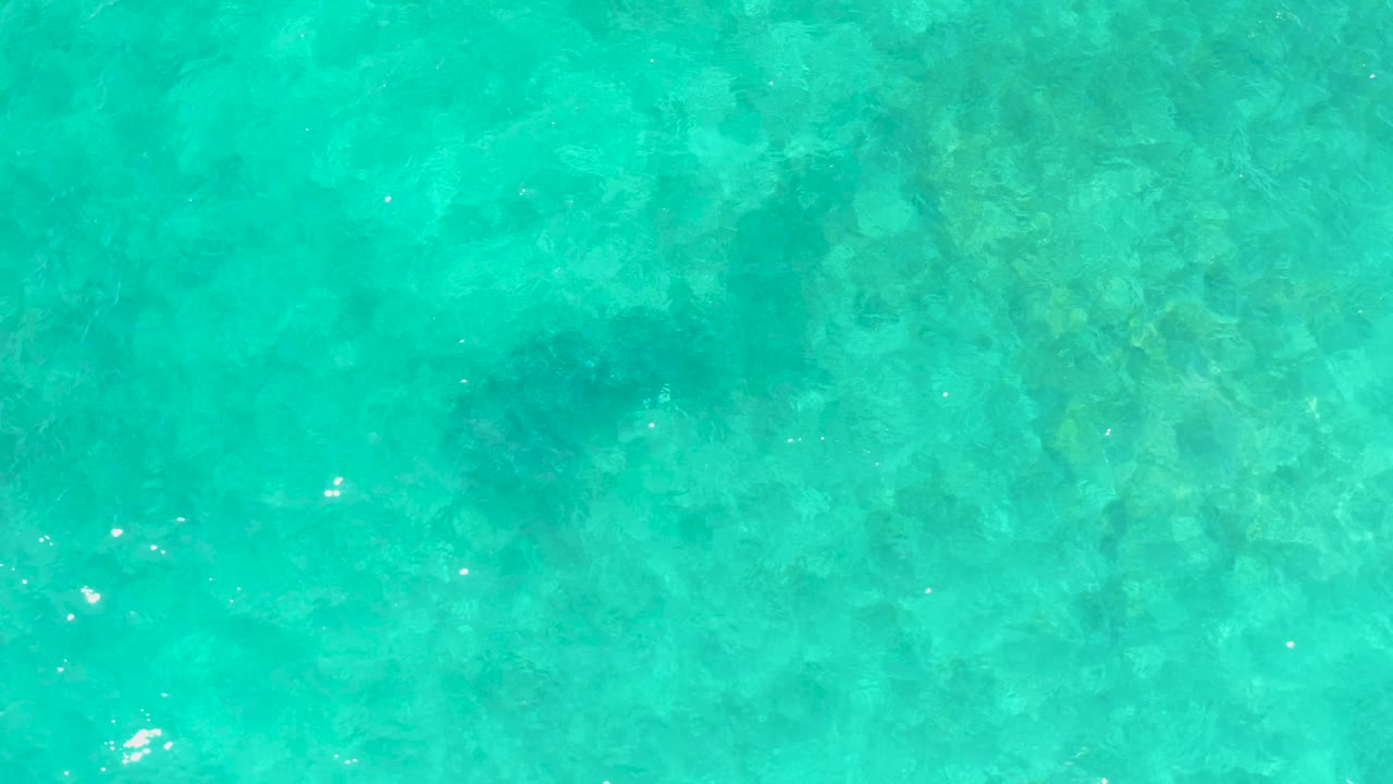 Top-down aerial frame of El Tule Beach Los Cabos water, with a muted dark marine animal form beneath the rippled turquoise surface and no visible people.
