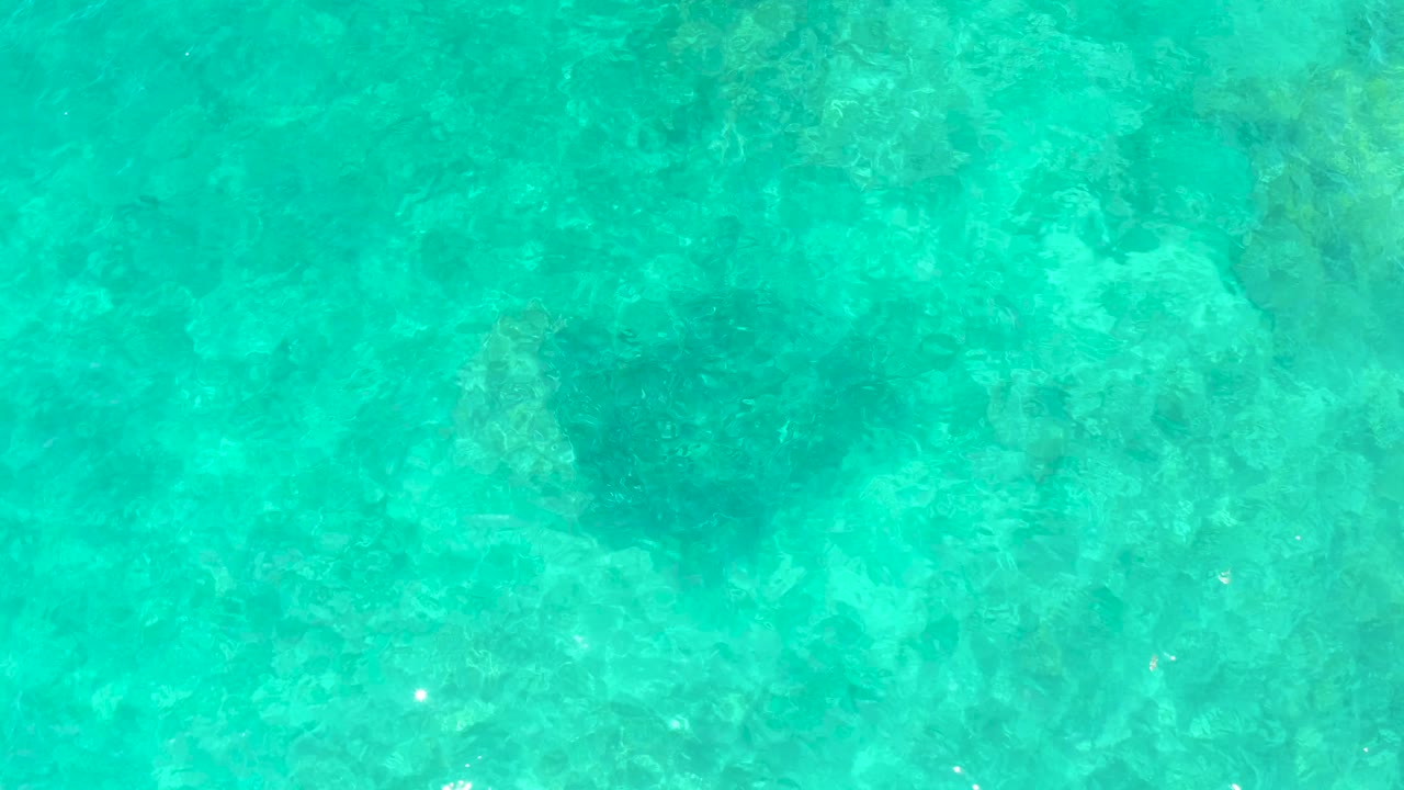 A darker sea turtle form sits under rippled turquoise water at El Tule Beach, with pale seabed patterns around it and no visible people.