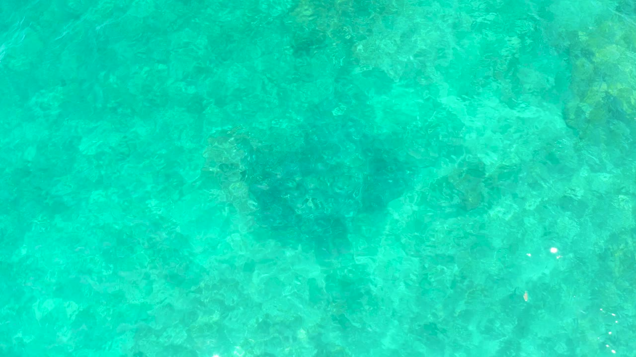 The turtle silhouette remains visible below bright turquoise water in Los Cabos, surrounded by patchy reef or seaweed texture and no visible people.