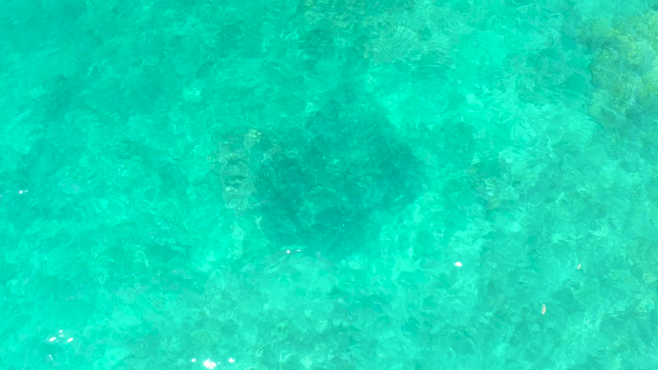An overhead frame at El Tule Beach shows a subdued turtle shape beneath clear turquoise water, with darker seabed patches and no visible people.