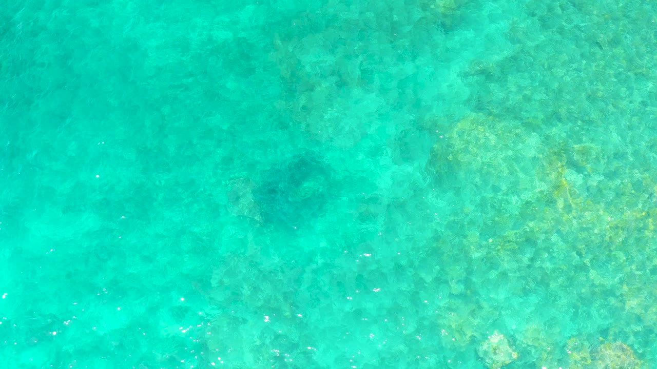 Turquoise water over a coral and rocky seabed