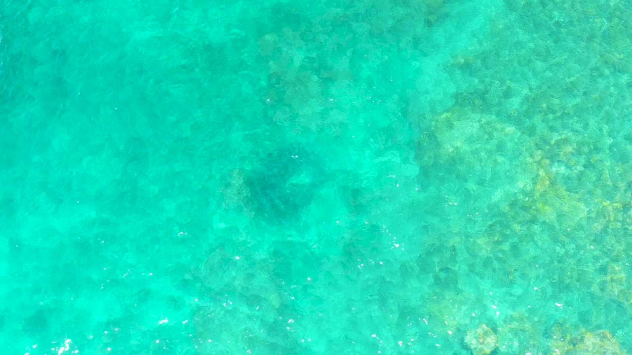 A downward view shows shallow turquoise ocean water over soft coral and rock textures at El Tule Beach Los Cabos, with no visible people.