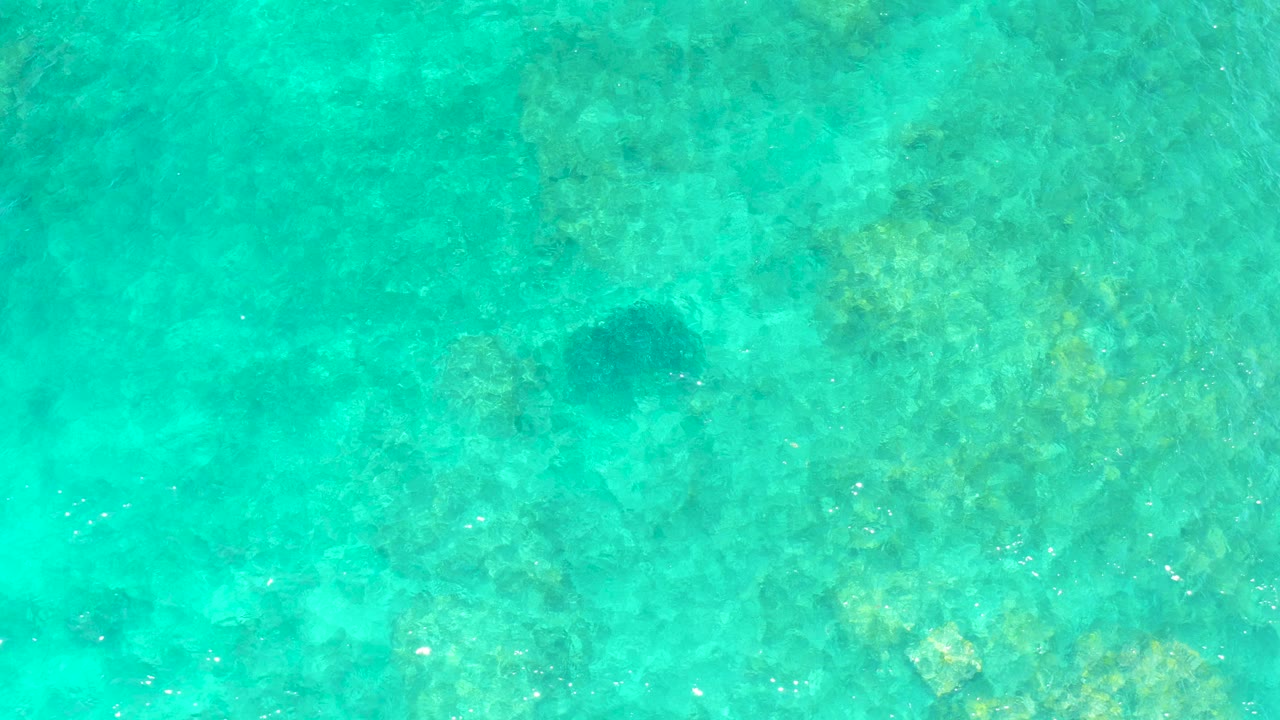 At El Tule Beach in Los Cabos, a sea turtle appears below clear turquoise water near the upper left of the frame, with coral and rocks visible beneath and no visible people.