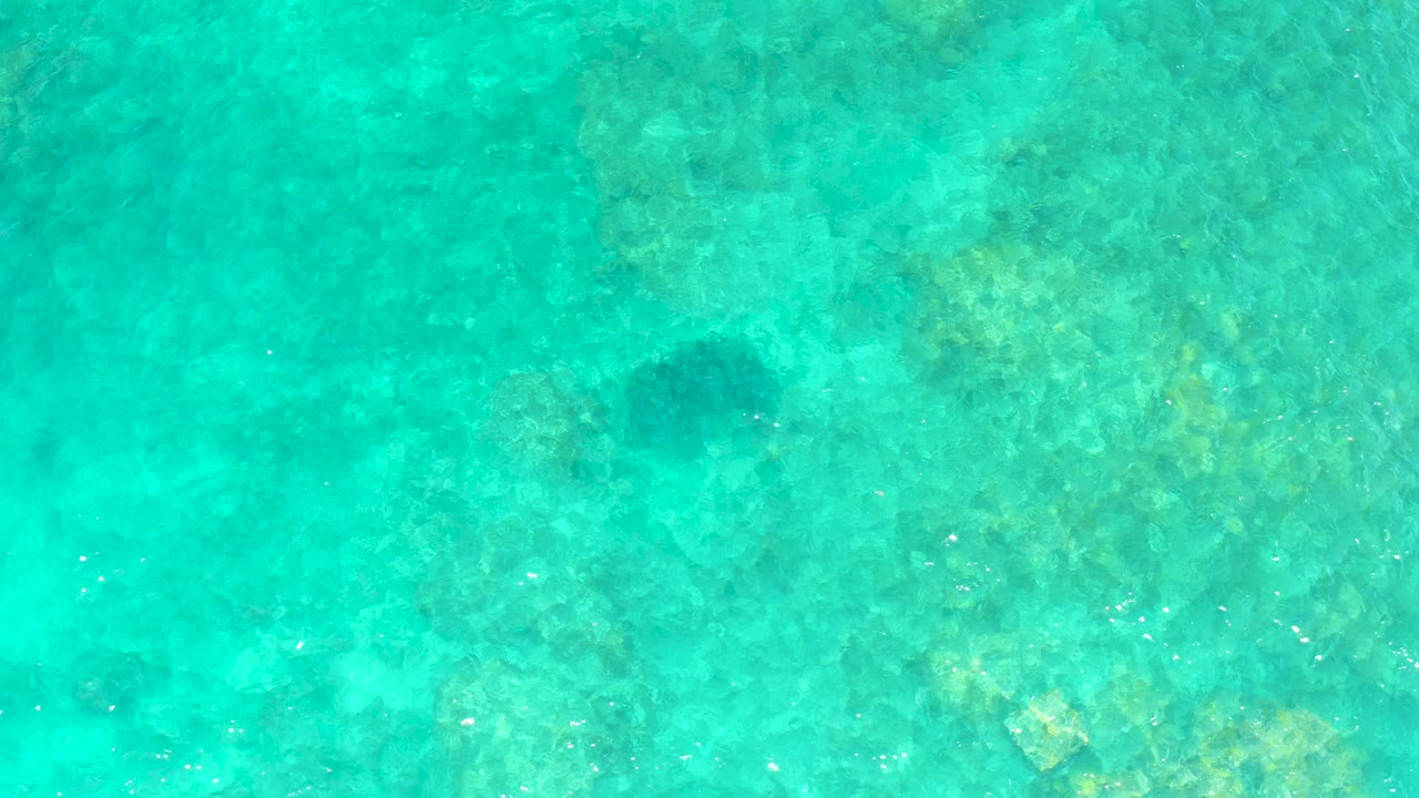 The turtle remains visible under the surface at El Tule Beach, with mottled coral and rocky patches showing through the bright shallow water and no visible people.