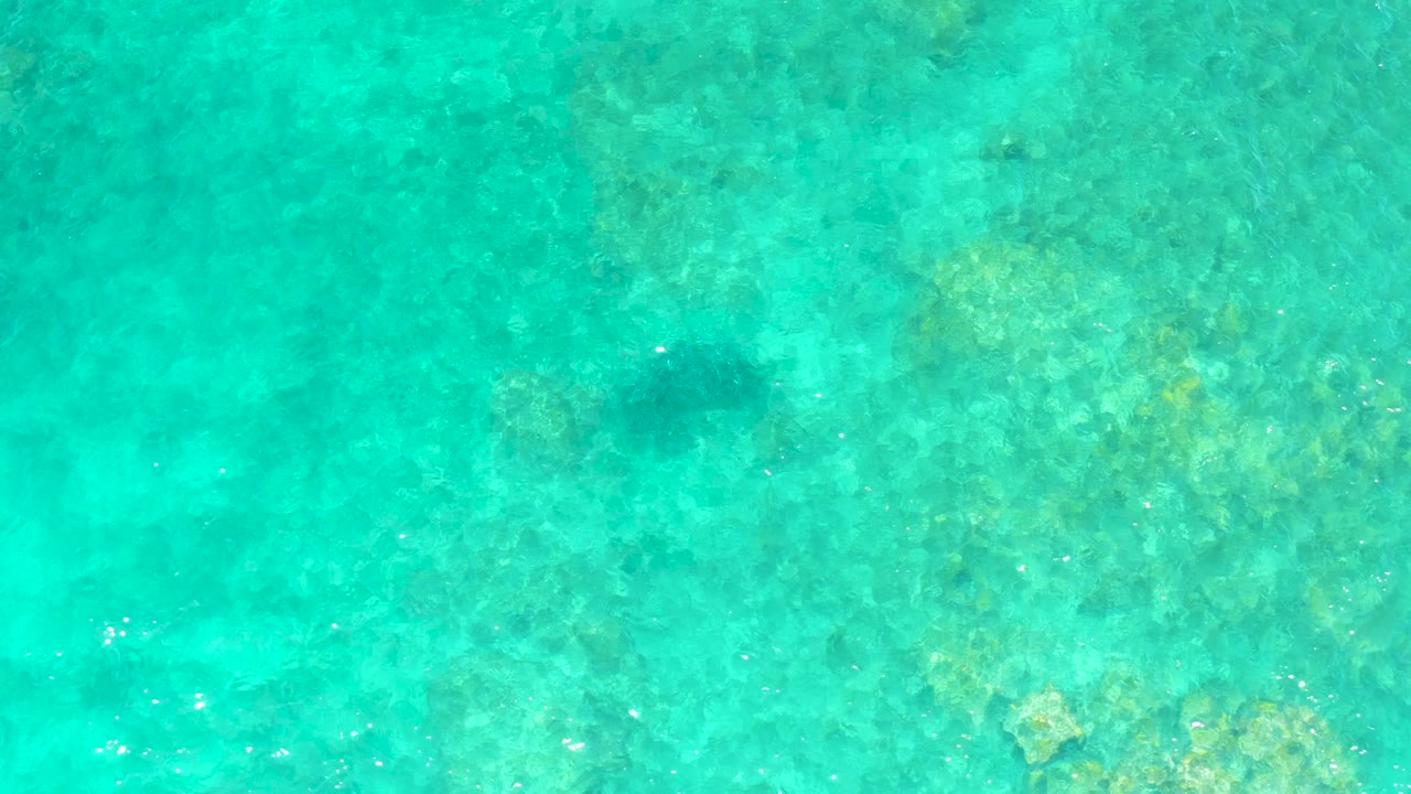 A top-down view at El Tule Beach shows the turtle slightly left of center beneath turquoise water, with yellow-green reef patches and rocks visible below and no visible people.