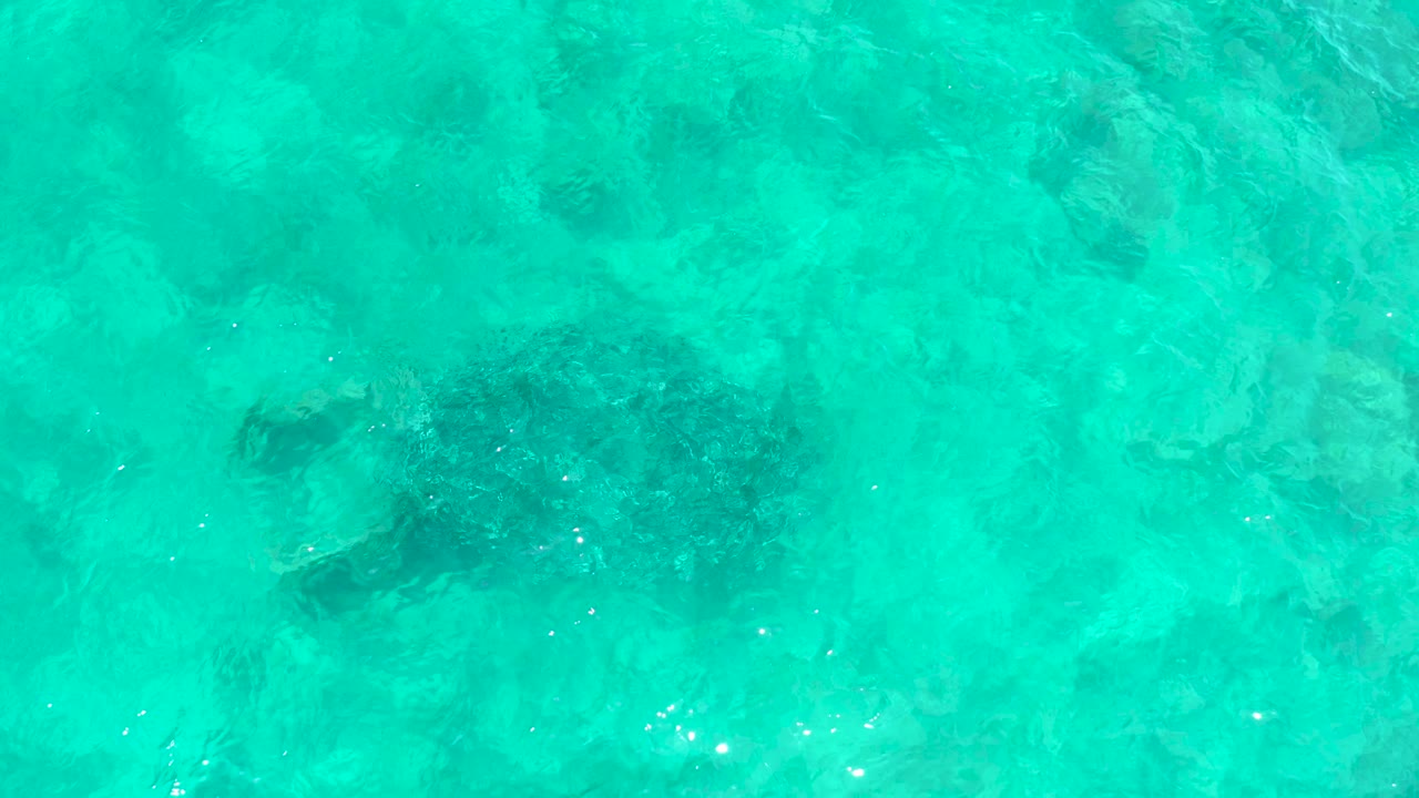 Sea turtle visible below rippled turquoise water at El Tule Beach Los Cabos, with the shell darkened by surface distortion and no visible people.