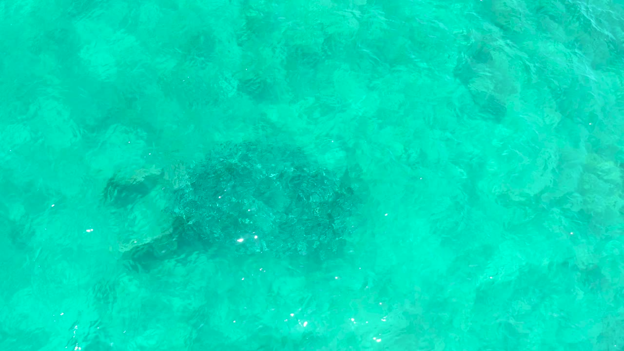 Sea turtle remains beneath clear turquoise water at El Tule Beach Los Cabos, with ripples softening the shell outline and no visible people.
