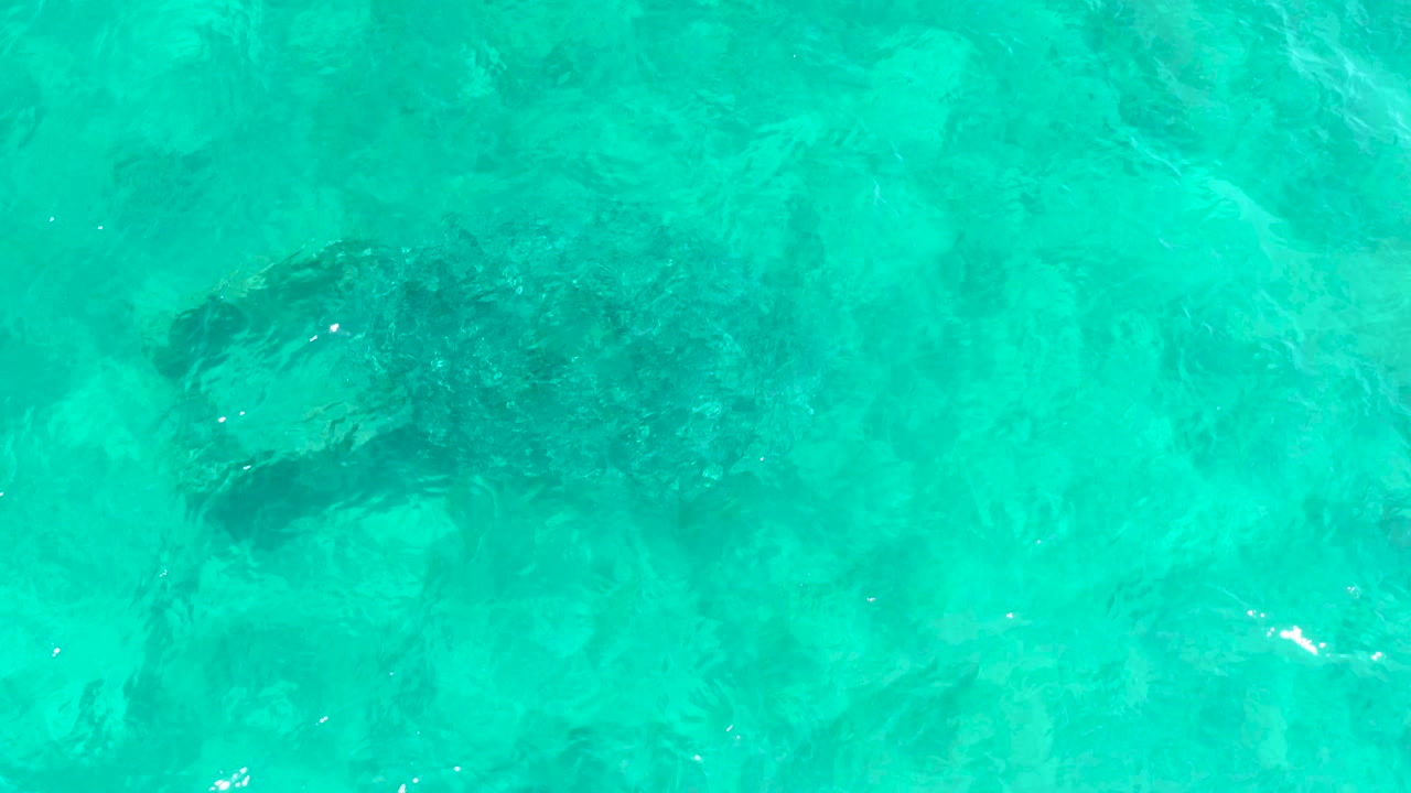 Dark sea turtle shape sits below bright shallow turquoise water at El Tule Beach Los Cabos, with stronger surface texture around the body and no visible people.