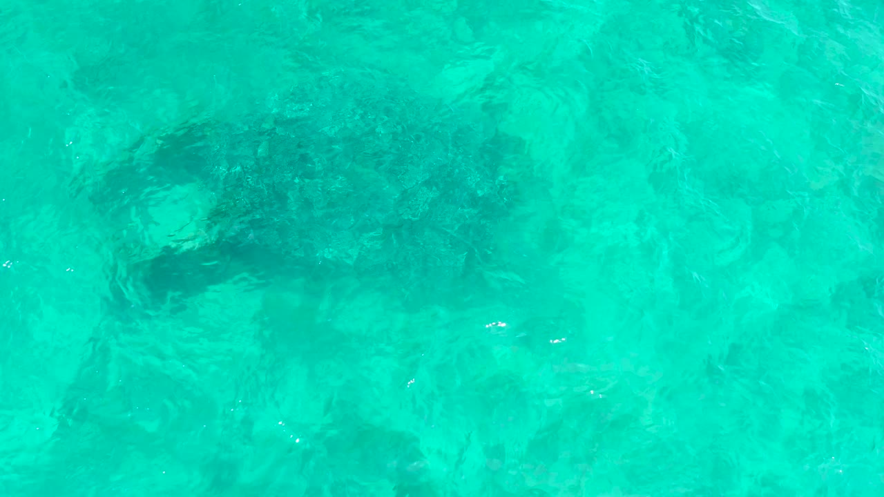 Sea turtle appears through a rippled ocean surface at El Tule Beach Los Cabos, with the flipper area faintly visible below the turquoise water and no visible people.