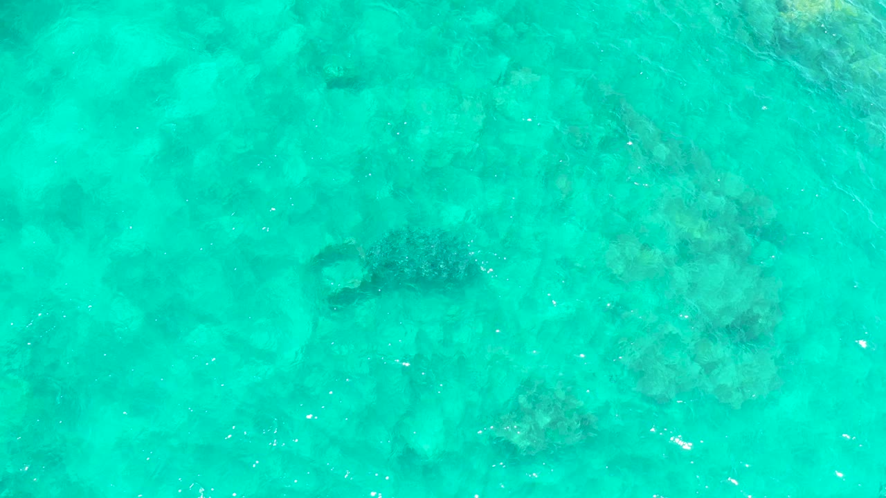 Sea turtle under turquoise water above a rocky seabed.