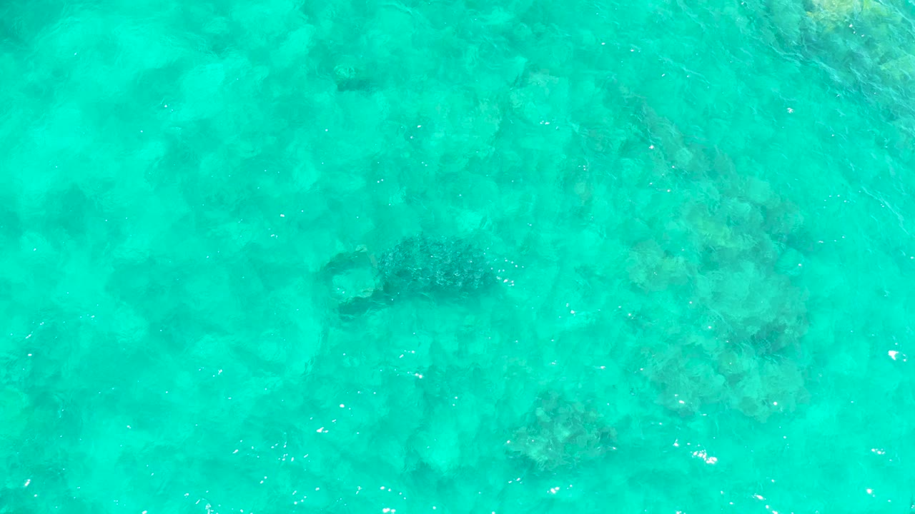 At El Tule Beach in Los Cabos, the turtle remains just below the rippled surface over pale rocks and coral texture, with no visible people.