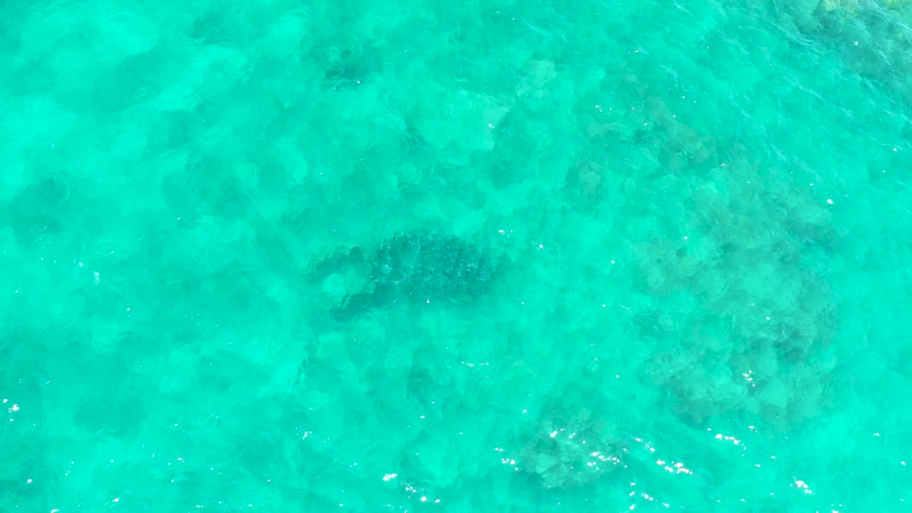 At El Tule Beach in Los Cabos, a dark turtle shape sits left of center beneath bright turquoise water, with mottled coral and rocks below and no visible people.