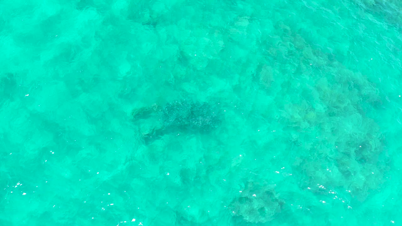At El Tule Beach in Los Cabos, the overhead view shows the turtle beneath a broad field of turquoise water with scattered rocks and faint surface ripples, with no visible people.