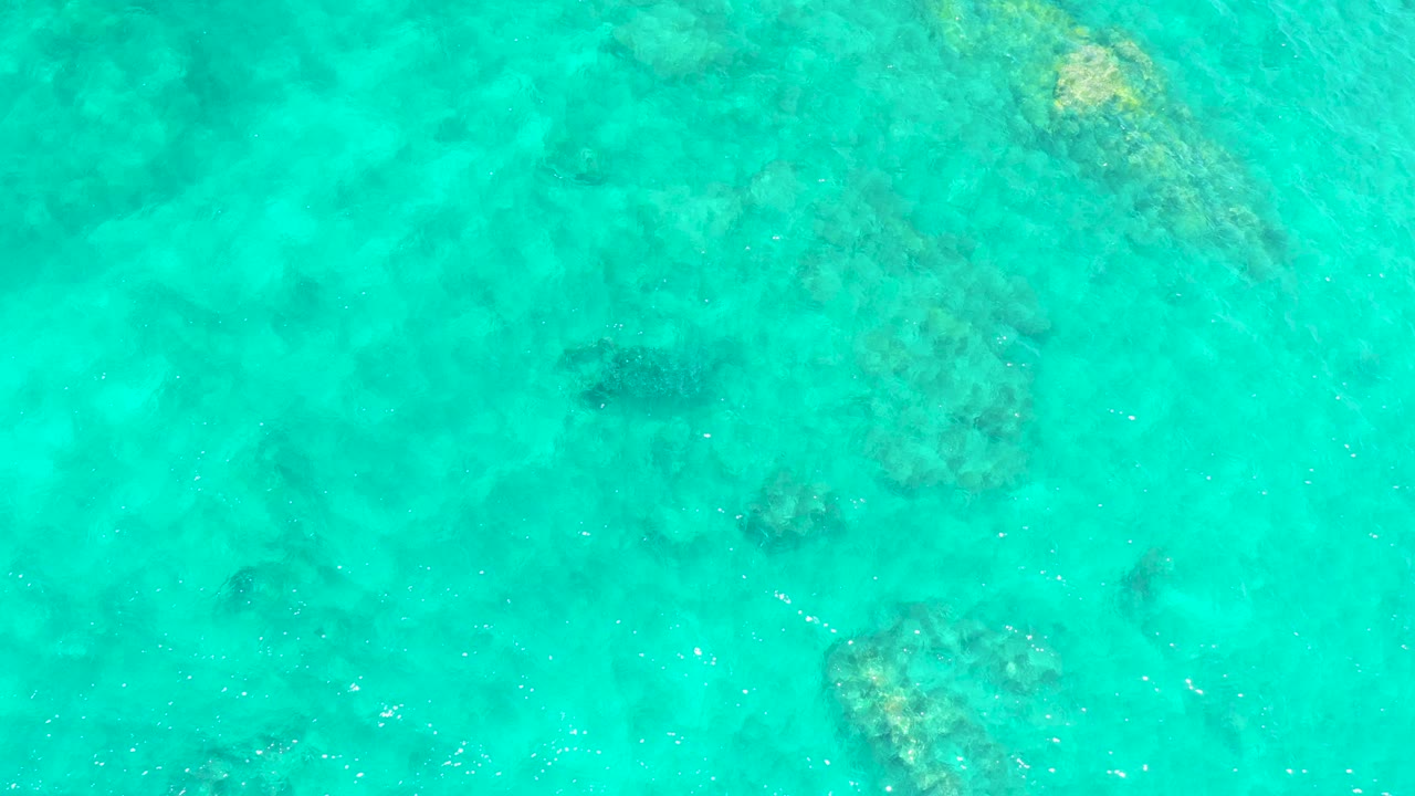 Overhead view at El Tule Beach Los Cabos showing turquoise shallow water, scattered submerged rock or coral patches, a small dark sea turtle shape near the upper center area, and no visible people.