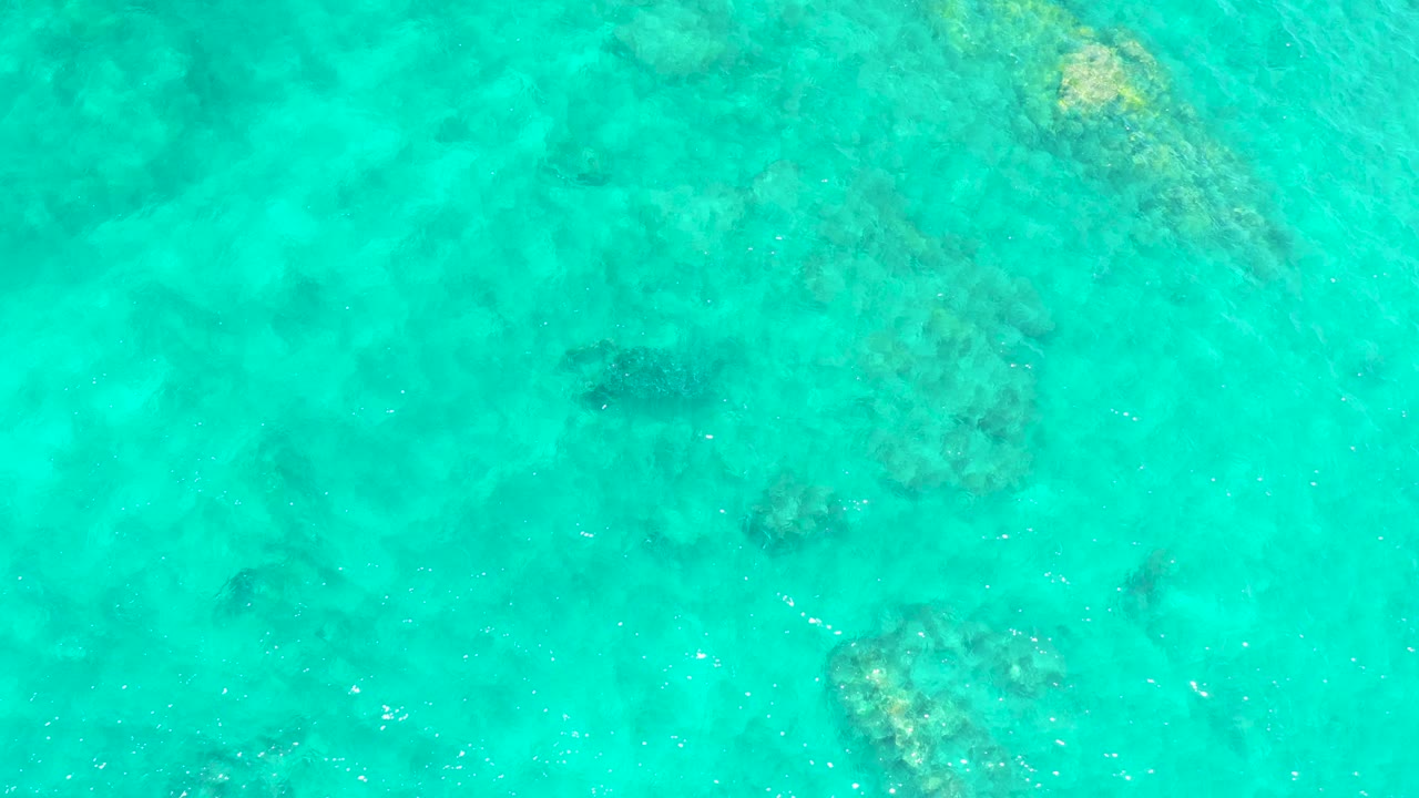 Top-down clear water with reef patches and a dark turtle form below the surface.