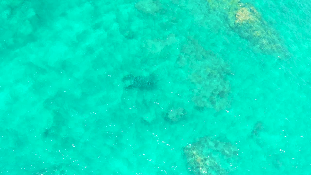 Aerial view over El Tule Beach Los Cabos where the dark sea turtle shape sits against luminous turquoise water and pale submerged formations, with no visible people.
