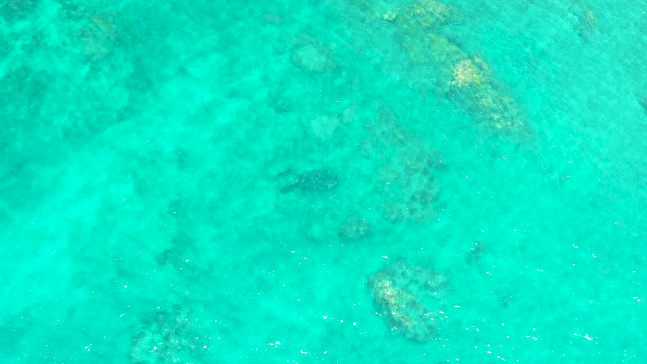 Clear shallow water at El Tule Beach in Los Cabos shows a dark fish over the sea floor, with several rock and coral shapes softened by ripples and no visible people.