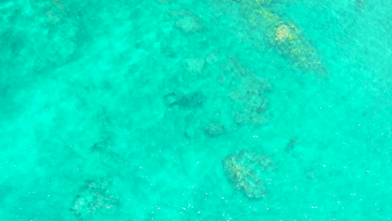 Bright shallow ocean water with coral patches, rocks, and surface ripples.