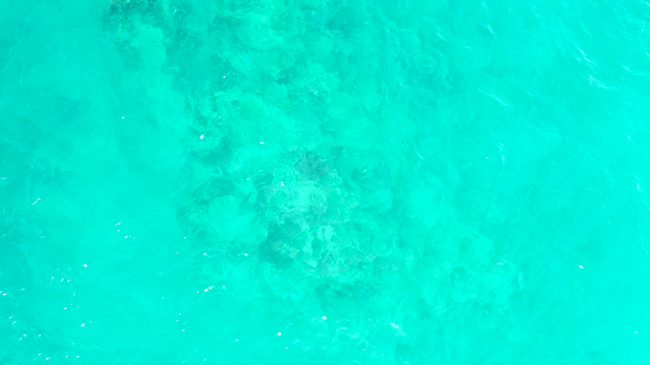 A broader underwater coral patch sits along the left side under transparent turquoise water at El Tule Beach Los Cabos, with no shoreline and no visible people.