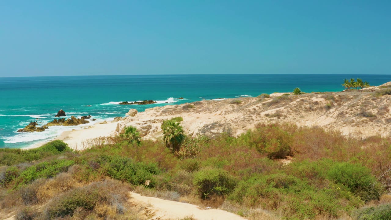 Mid-clip frame from Dreams Los Cabos with foreground brush, a small palm, pale sand, turquoise water, waves breaking on dark rocks, and no visible people.